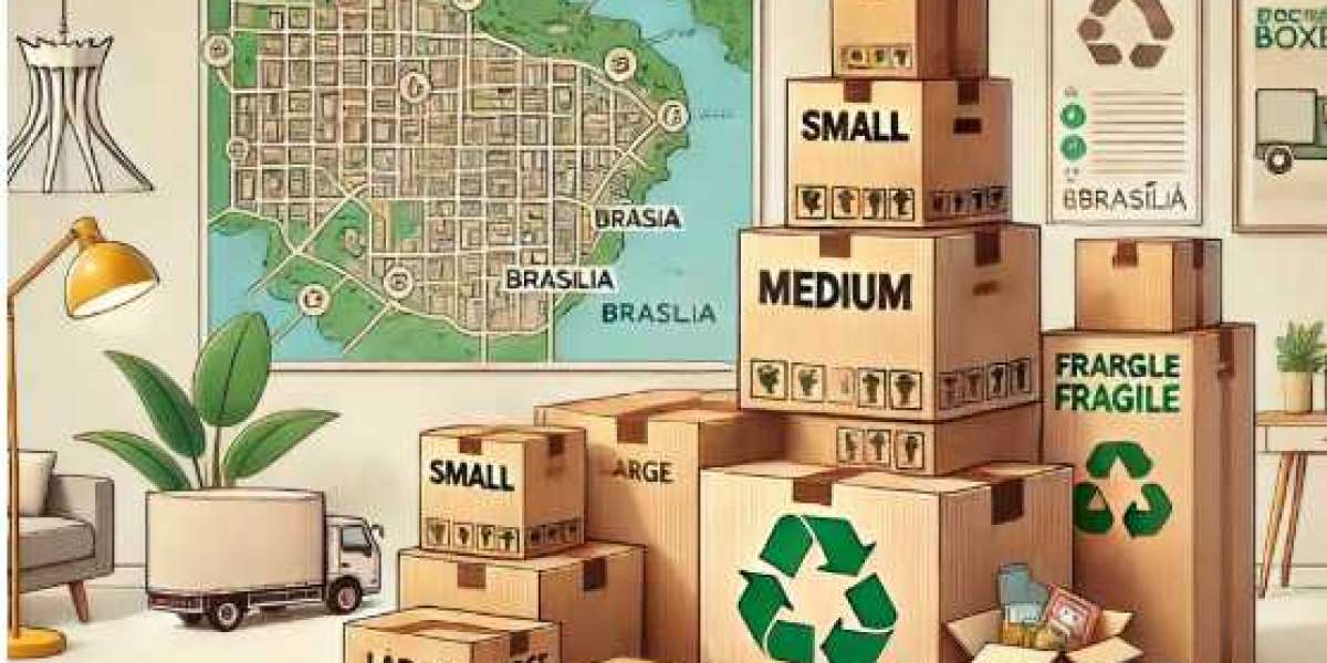 Professional Moving Services in Brasília: Your Trusted Partner for Every Relocation