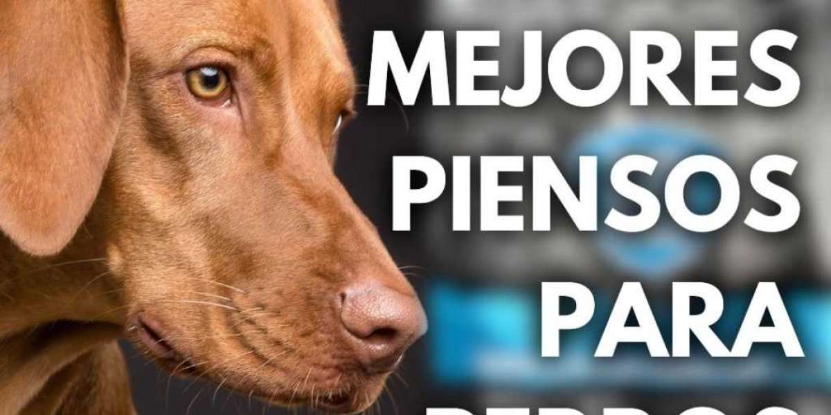 Todo lo que debes saber sobre los mejores productos para mascotas
