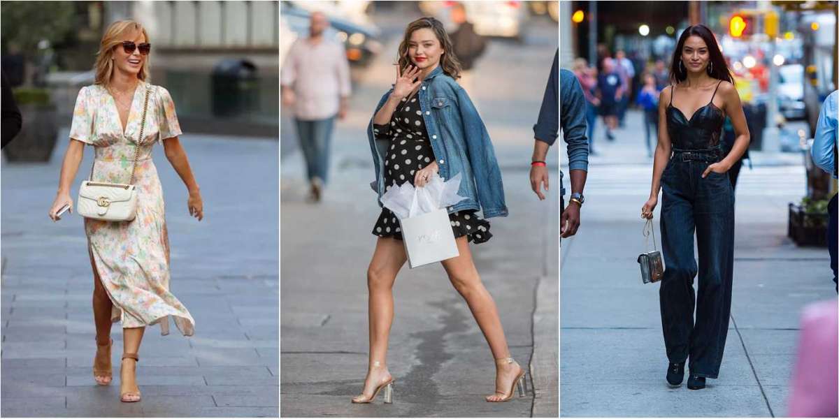 to yacht trips around Moncler the islands