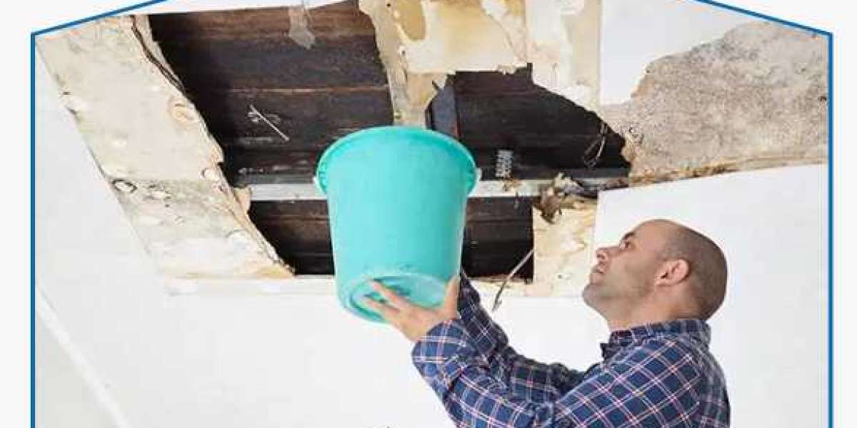 The Critical Role of a Water Damage Public Adjuster