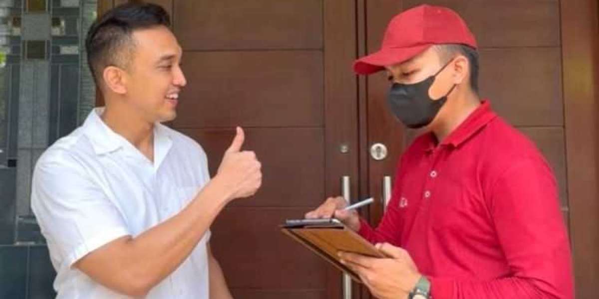 Professional Termite Extermination Services for Long Term Property Safety