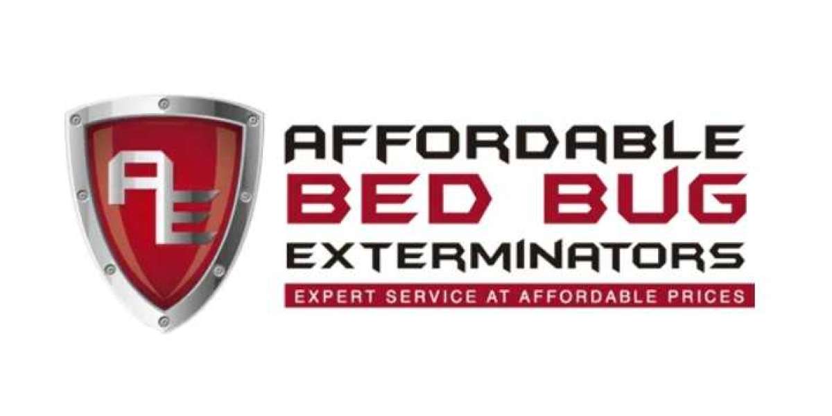 Common Questions About Bed Bugs Answered