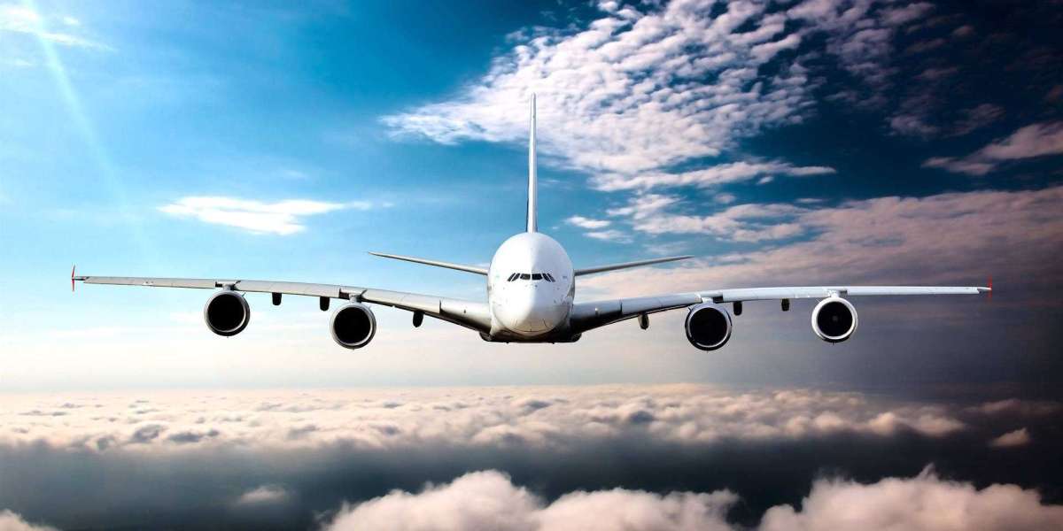 A Complete Guide to the Delta Airlines Toronto Office